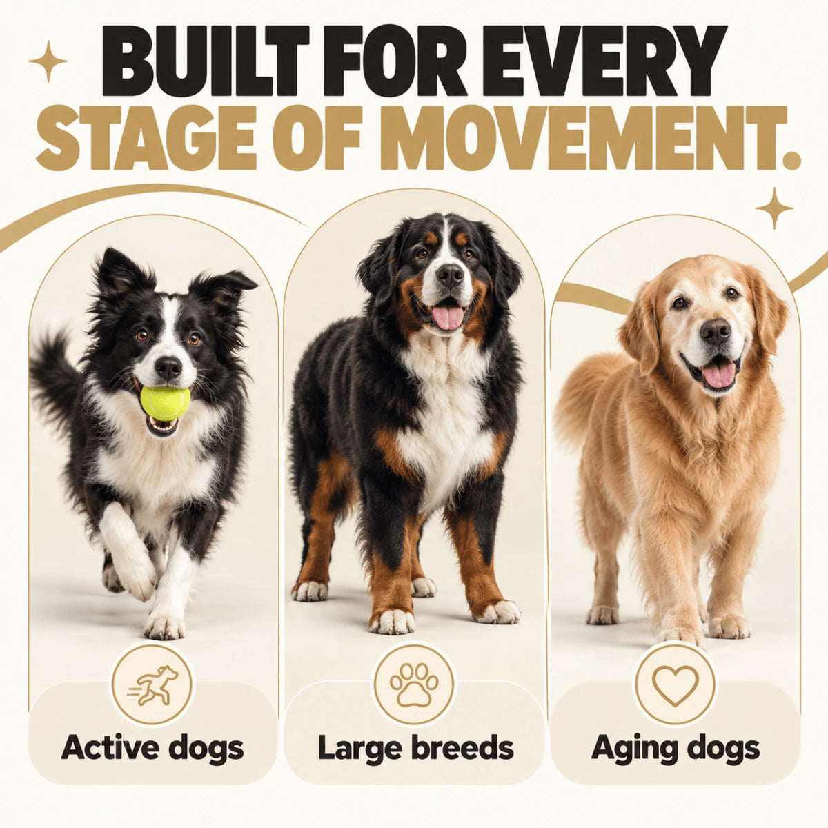 DoggyDust Daily + JOINT Bundle