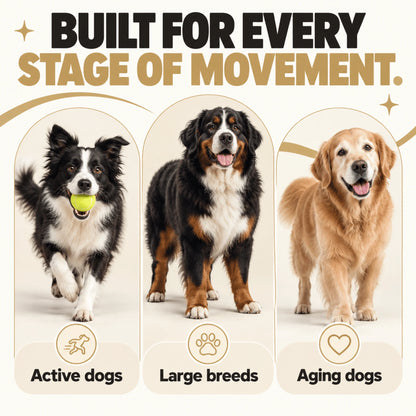 DoggyDust Daily + JOINT Bundle