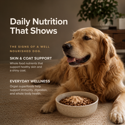 DoggyDust Daily Formula