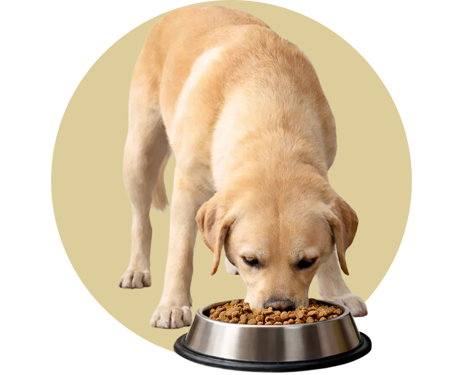 Keep Feeding as Usual